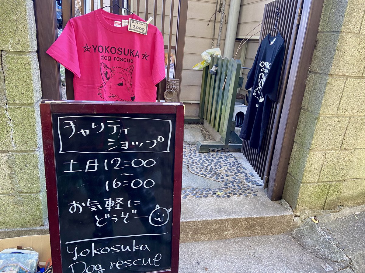穴を掘るのをヤメロと言ったらしょんぼりするいのすけです。もう！いいよいいよ！どんどん掘りなさい〜（涙）

チャリティショップは今日も16時までやっています★
来週は21日土曜日はお休みです。
22日日曜日は開催します。

よろしくお願いいたします★