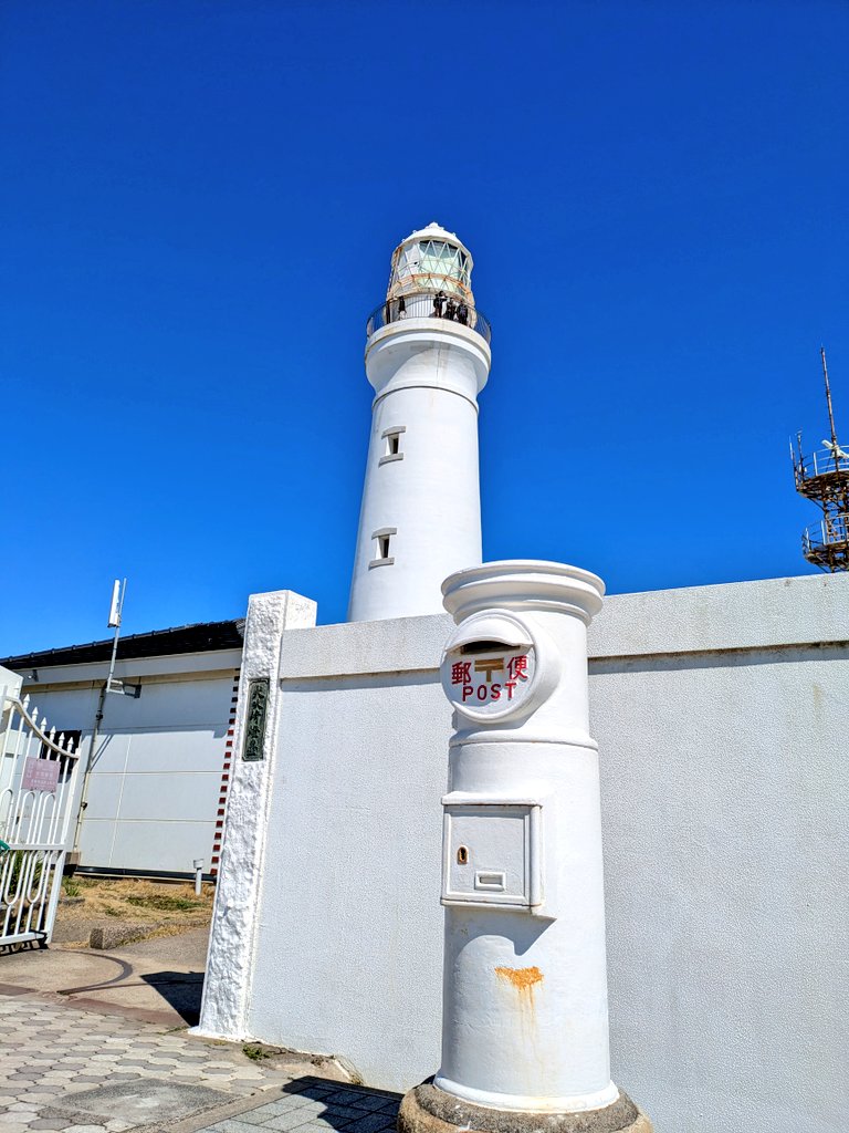 ひろね𓃠 tweet media