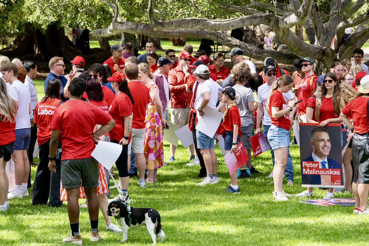 Peter Malinauskas tweet media