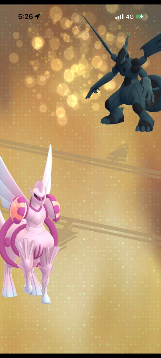 KiwiSteve007 tweet media