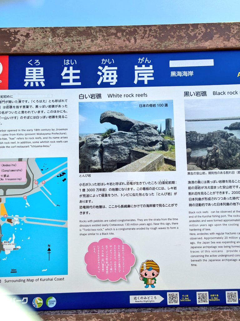 ひろね𓃠 tweet media