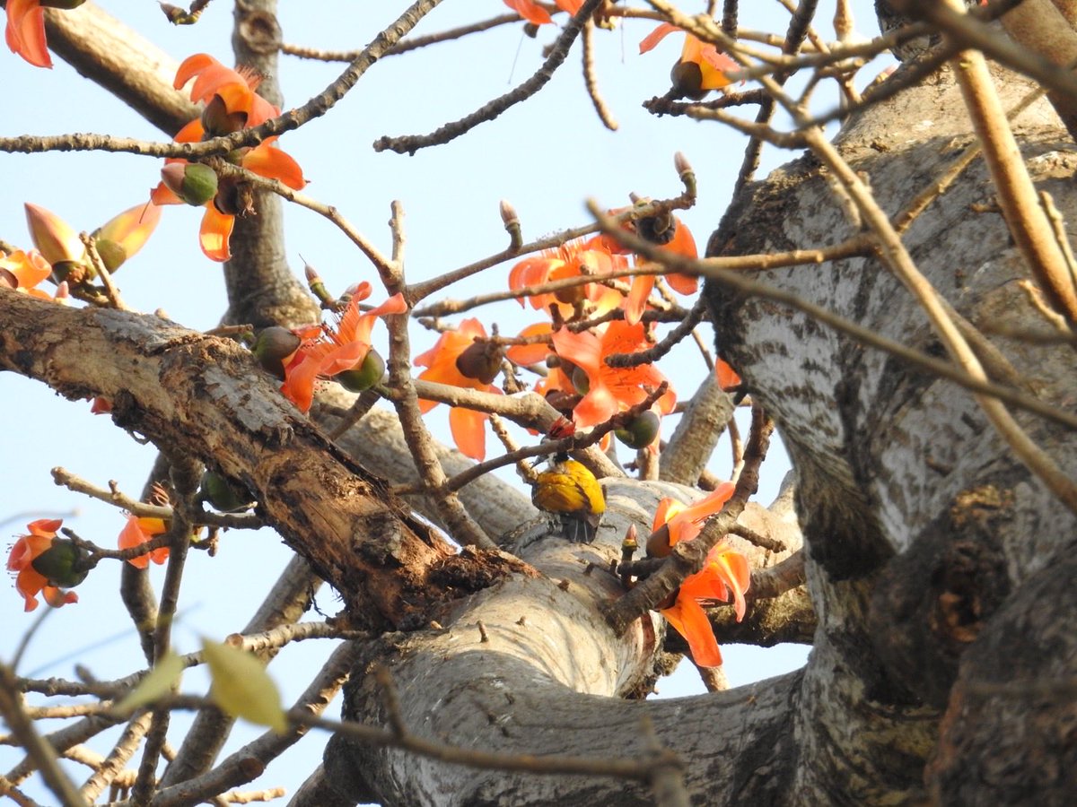 Neha Sinha tweet media