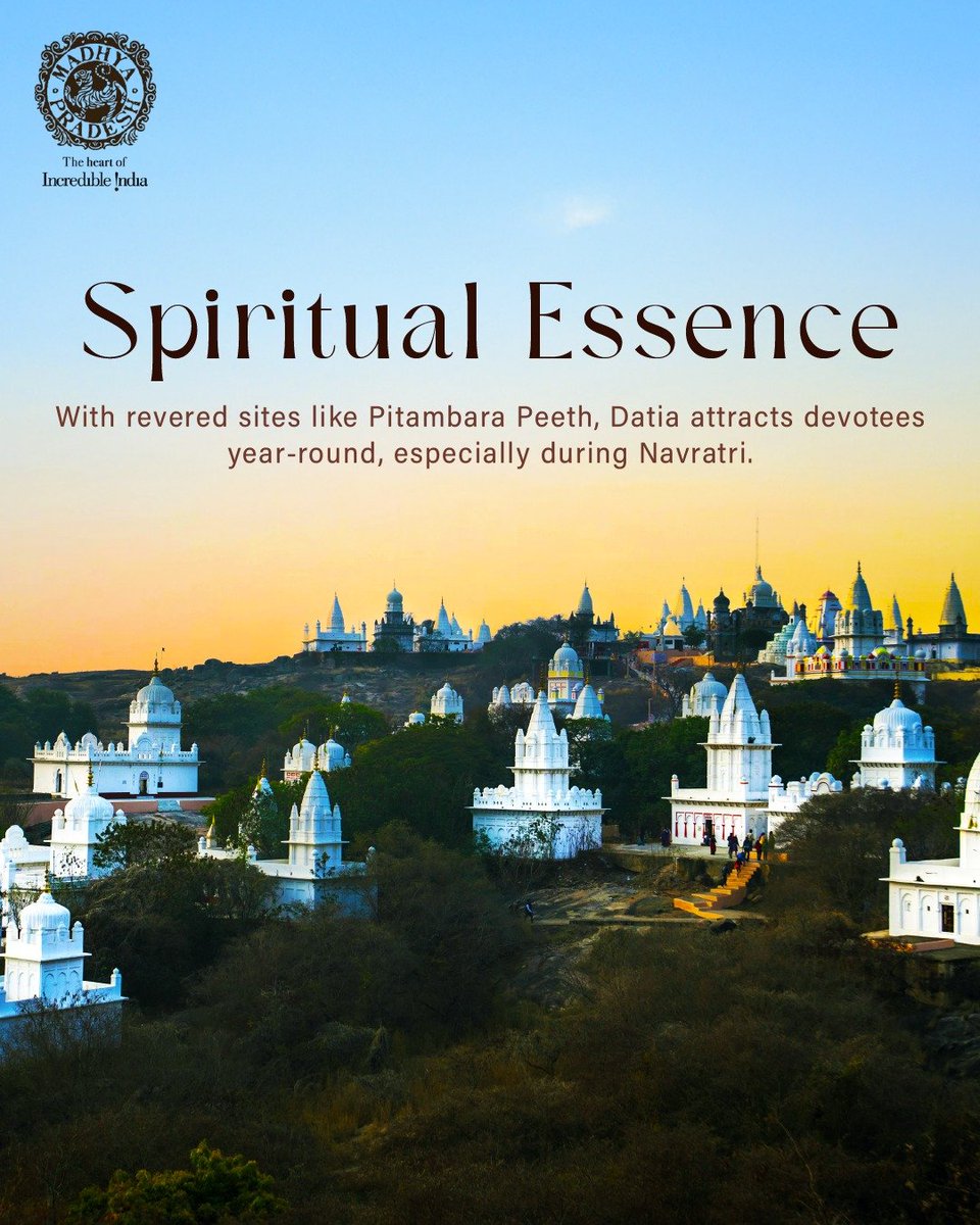 MP International Tourism tweet media