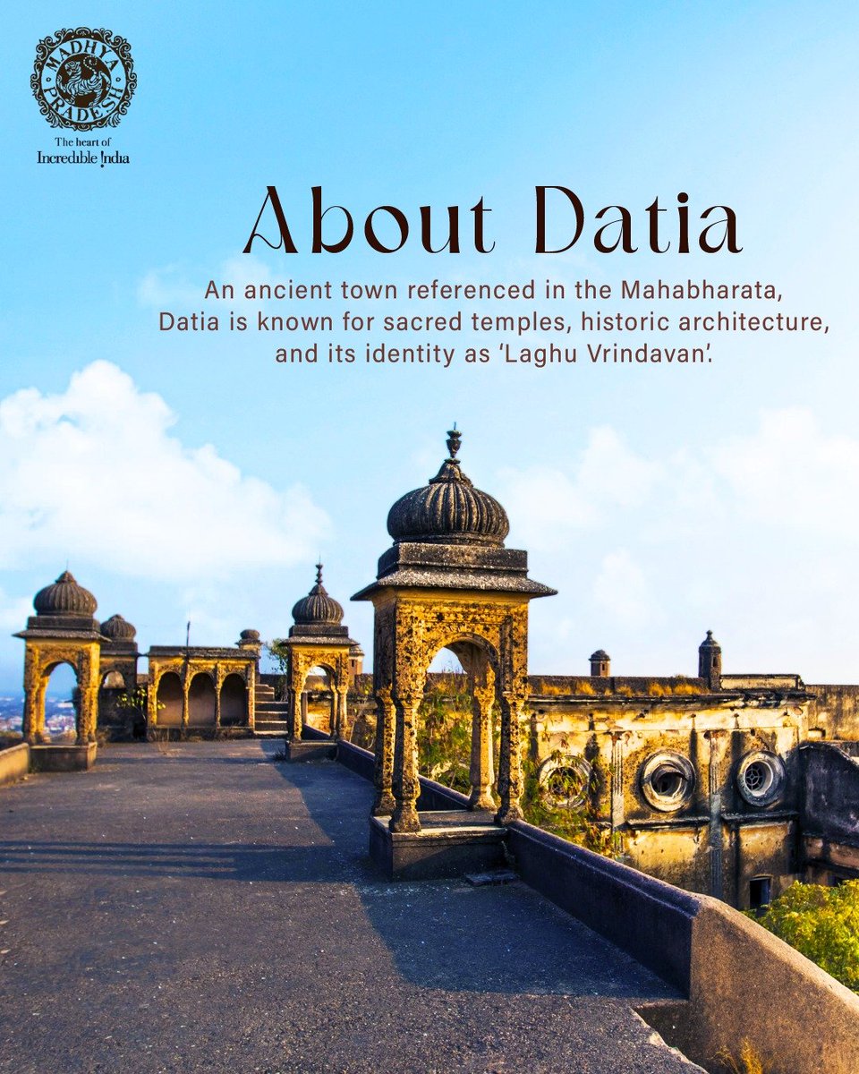 MP International Tourism tweet media