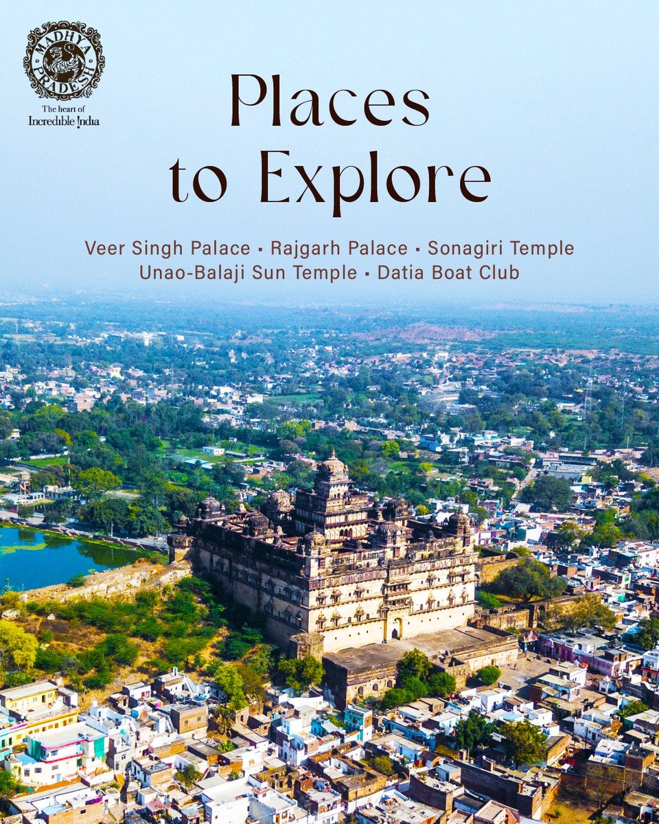 MP International Tourism tweet media