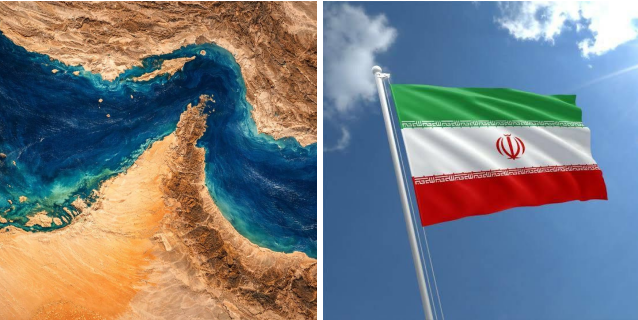 Whale Factor tweet media