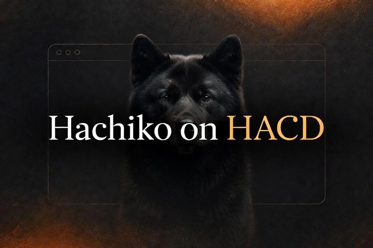Hachiko on HACD tweet media