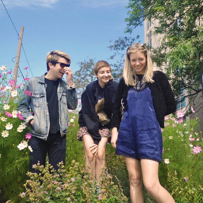 MusicBoxNZ tweet media