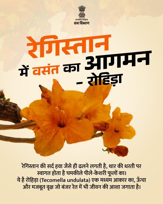 Rajasthan Forest Department tweet media