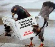 Maxi Villegas tweet media
