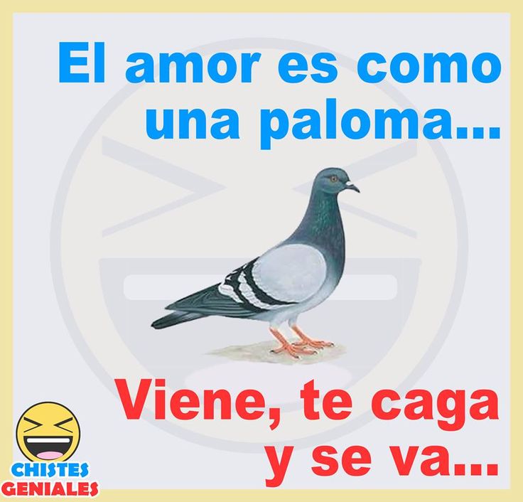 Maxi Villegas tweet media