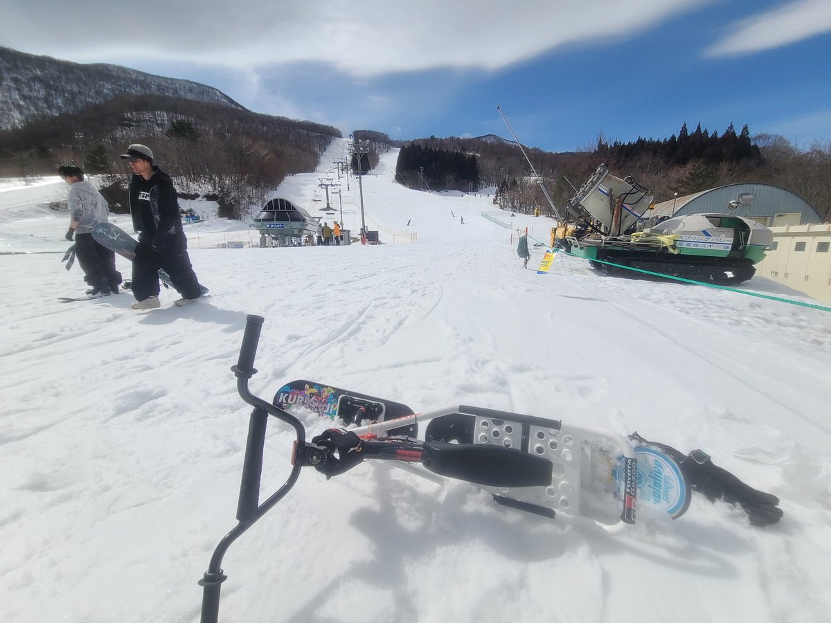 サーバルメット tweet media