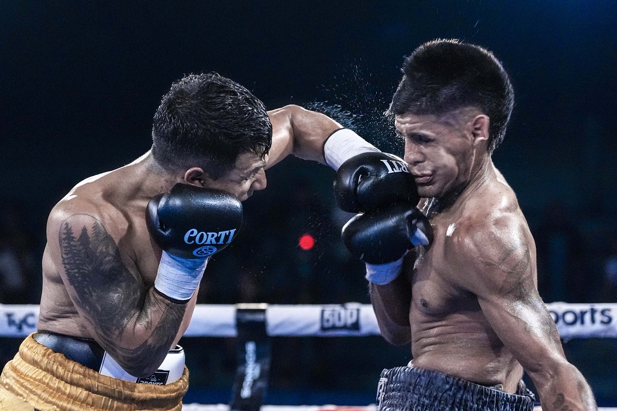 Boxeo de Primera tweet media