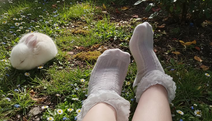 𝐀υɾσɾα𐙚 (@bunnyyt1ny) on Twitter photo 