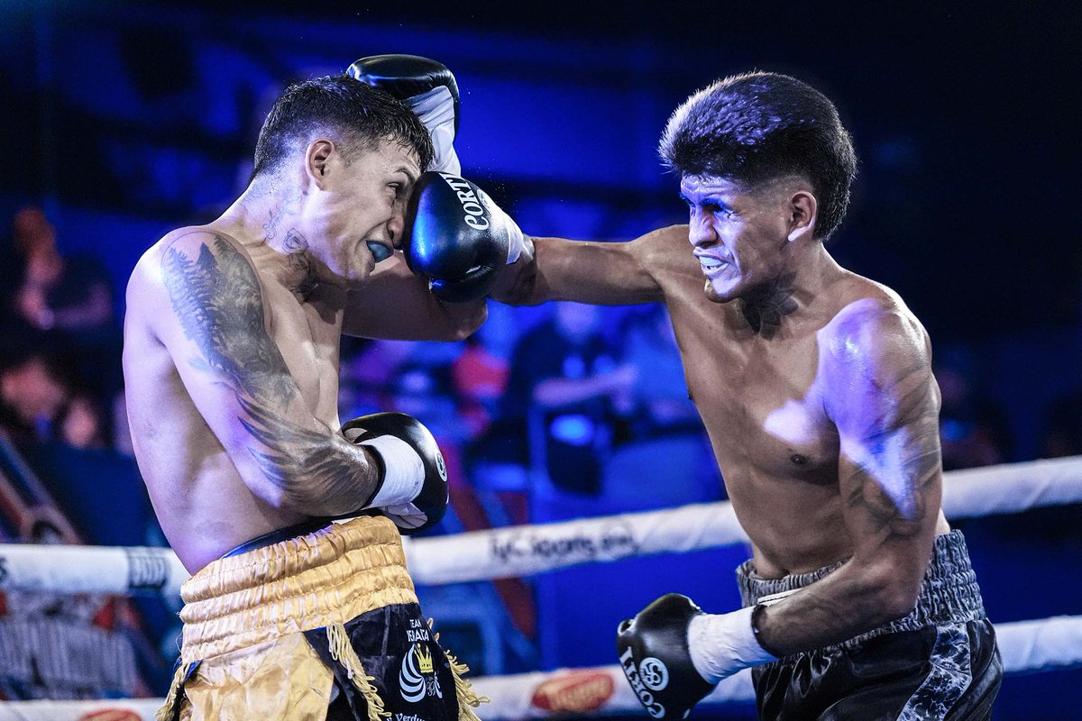 Boxeo de Primera tweet media