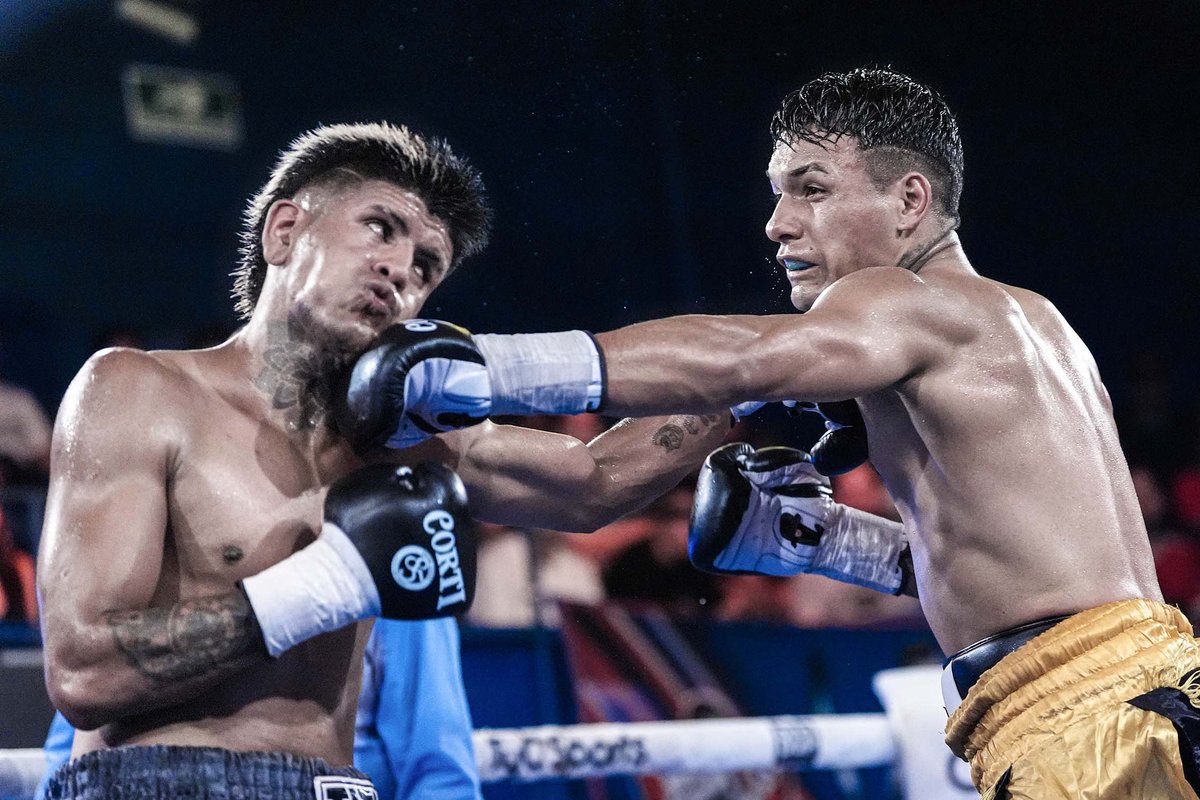 Boxeo de Primera tweet media