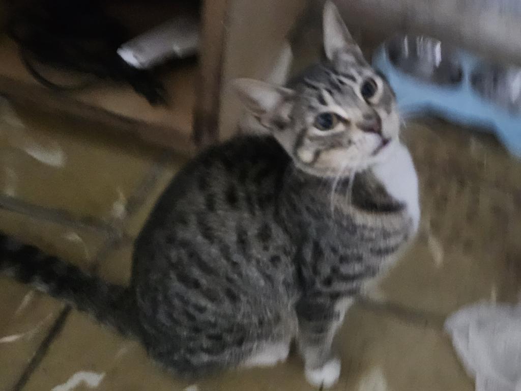 хару tweet media