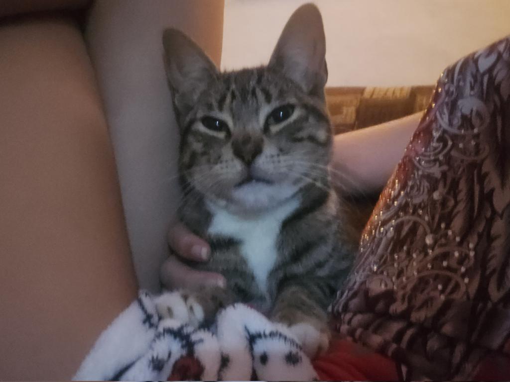 хару tweet media