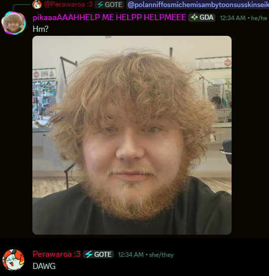 Perawaroa tweet media