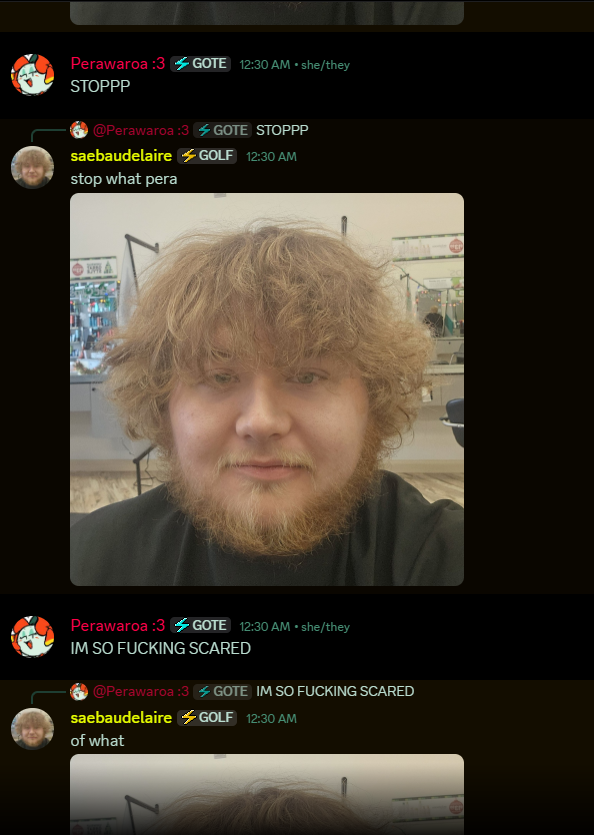 Perawaroa tweet media