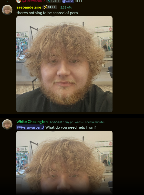 Perawaroa tweet media