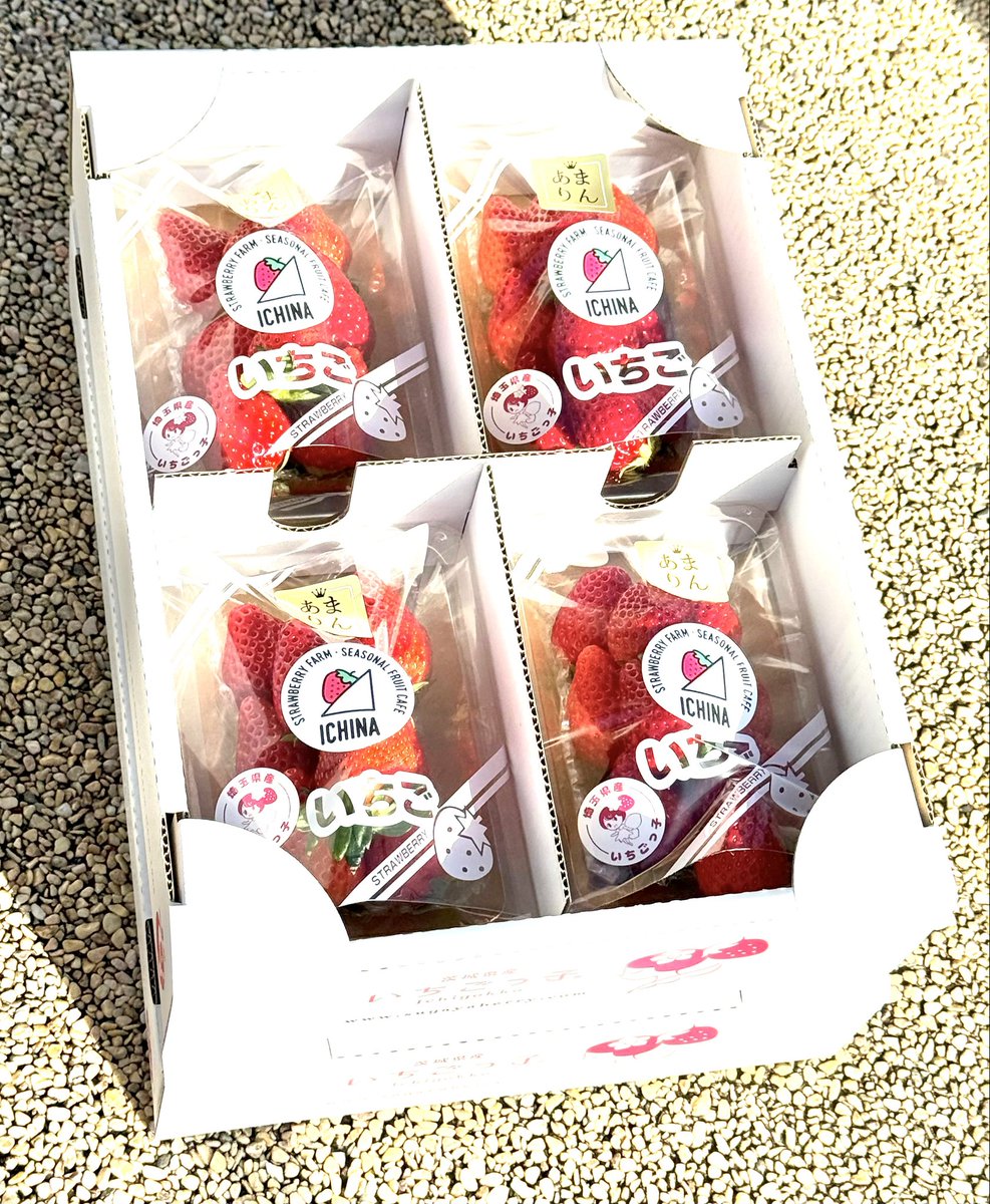 藤田まこと🌱衆議院議員 埼玉14区 tweet media