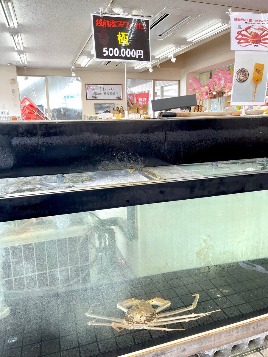 さわたり tweet media