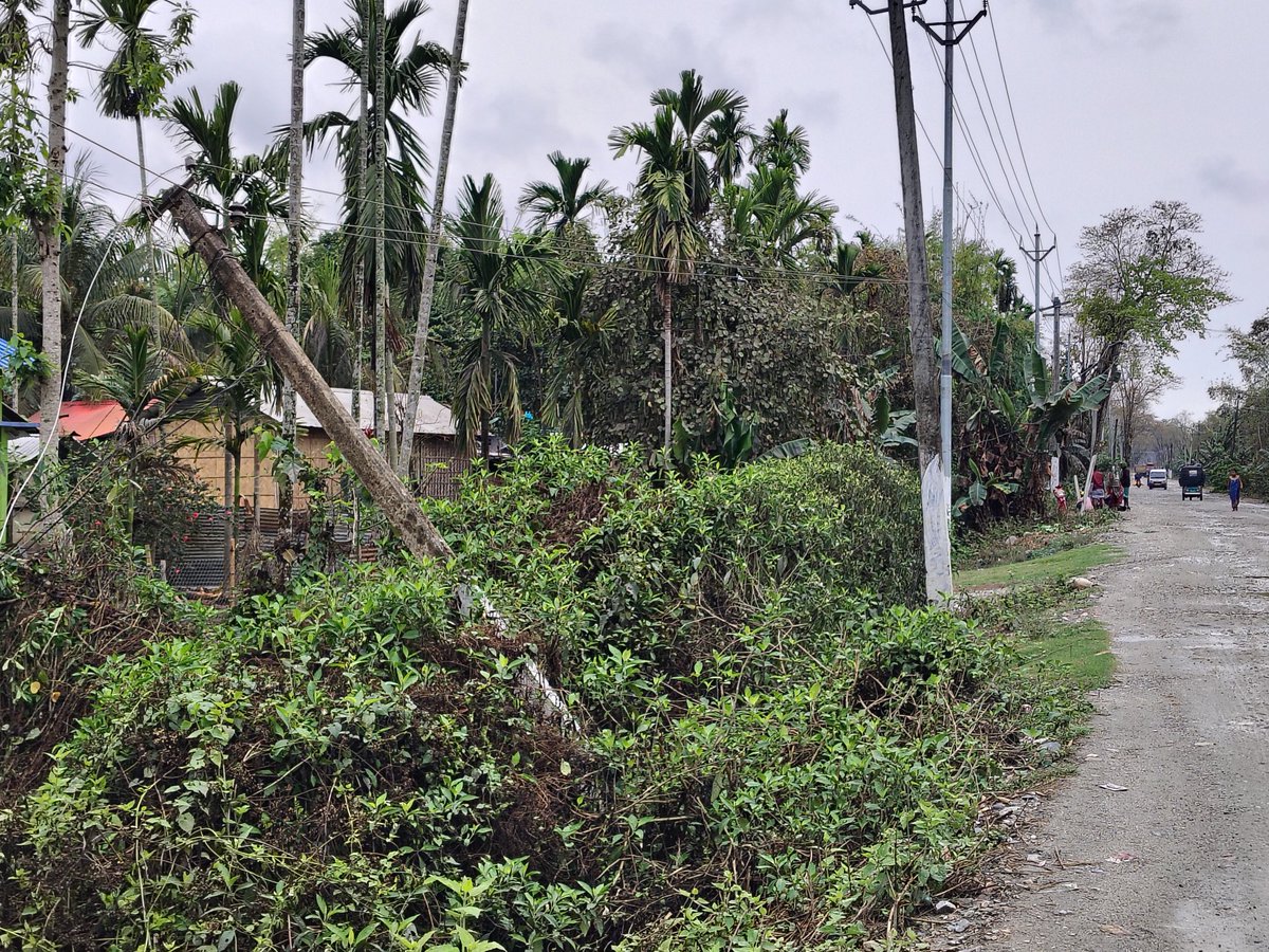 Do needful action LOCATION NO 2 KACHUBIL BAGHEKHOWA, NEAR SHIV MANDIR, MB ROAD