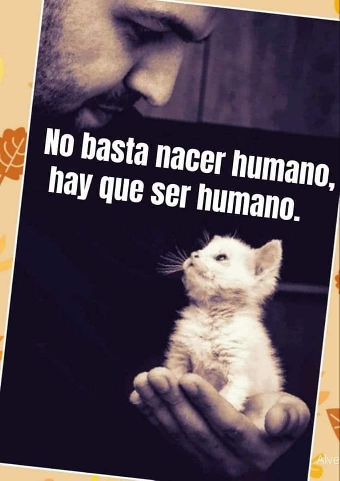 Manu Saenz💛💛 (@manusaenzvolvio) on Twitter photo 