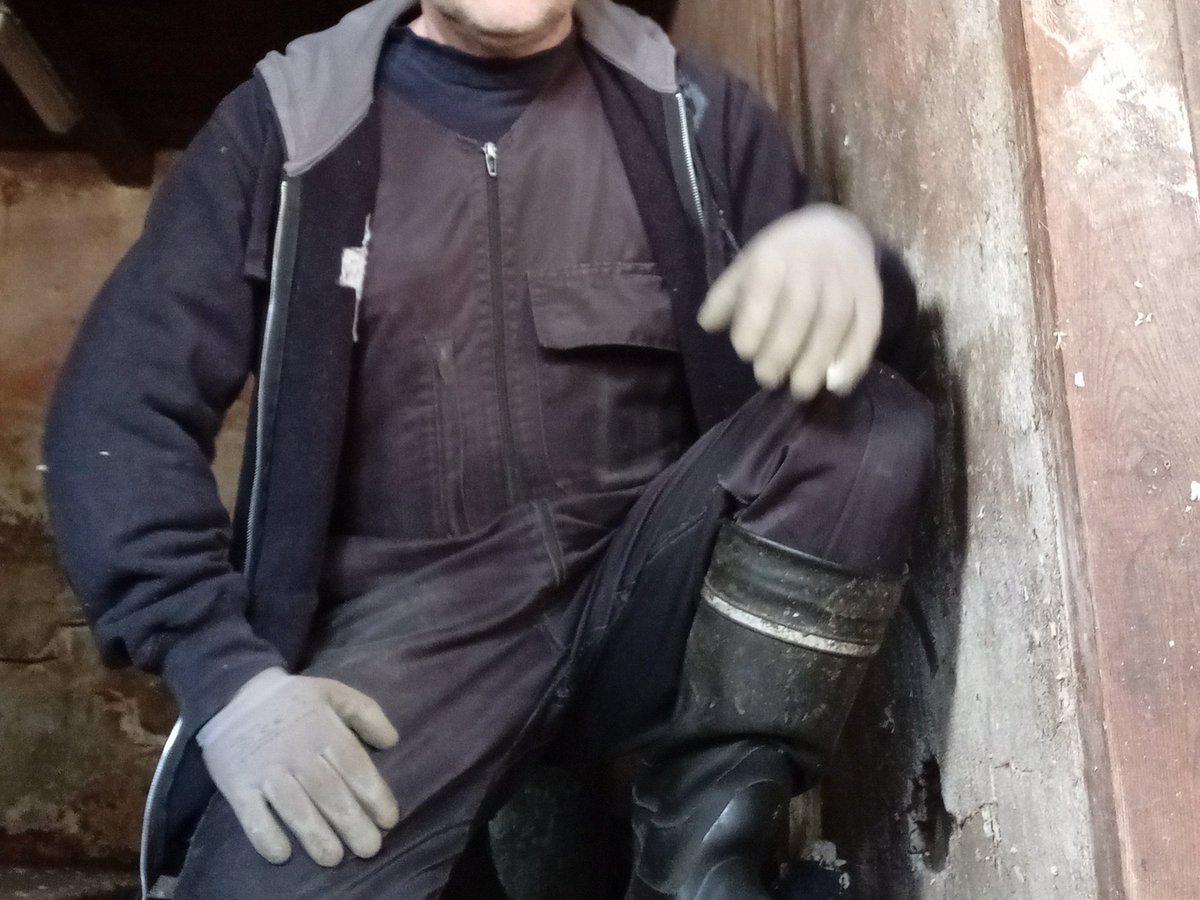 Mikkeman45 tweet media