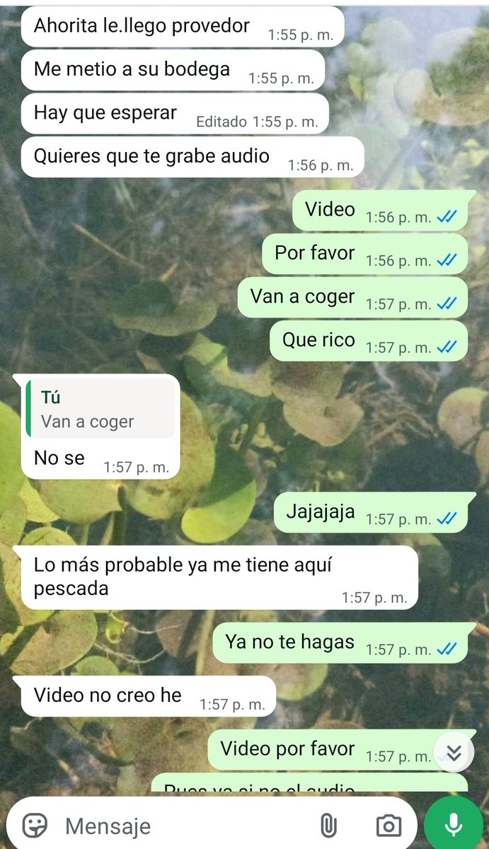 Jorge Cornudo tweet media