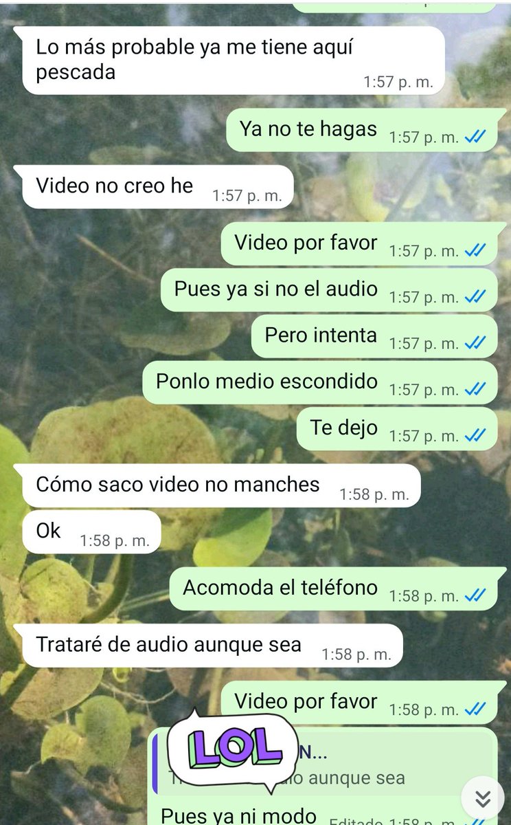 Jorge Cornudo tweet media