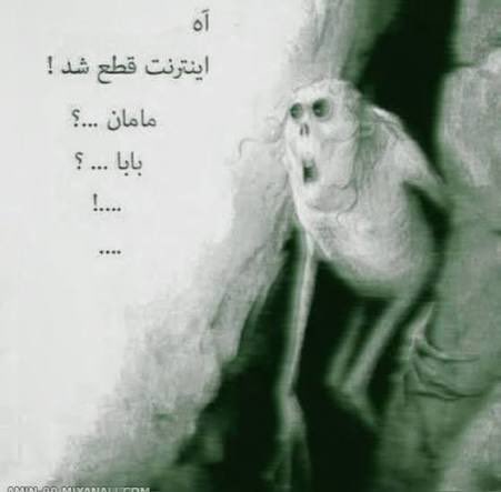 NNNN tweet media
