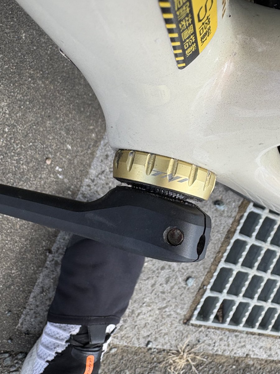 まんま tweet media