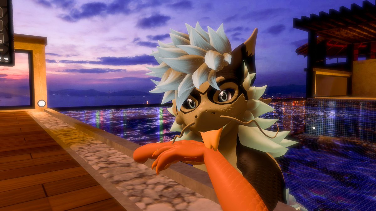 Cat From Afar tweet media