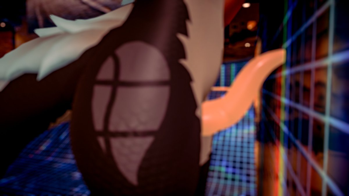 Cat From Afar tweet media