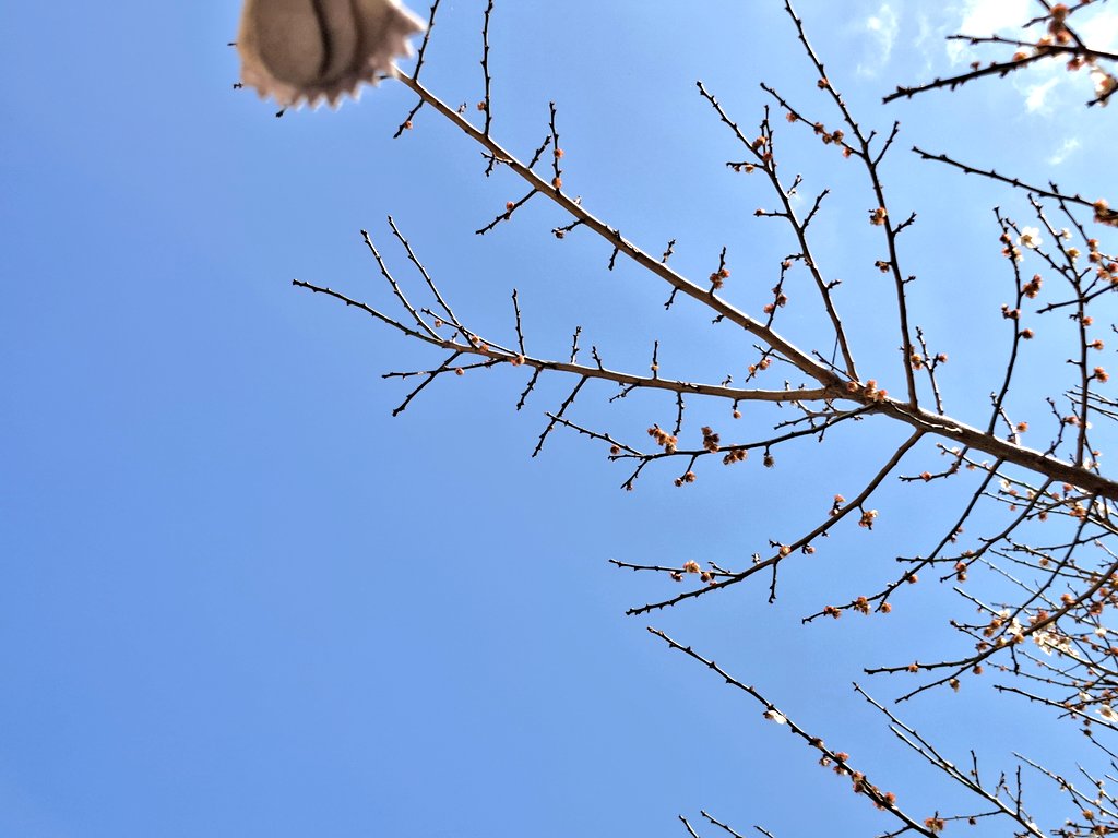お散歩。