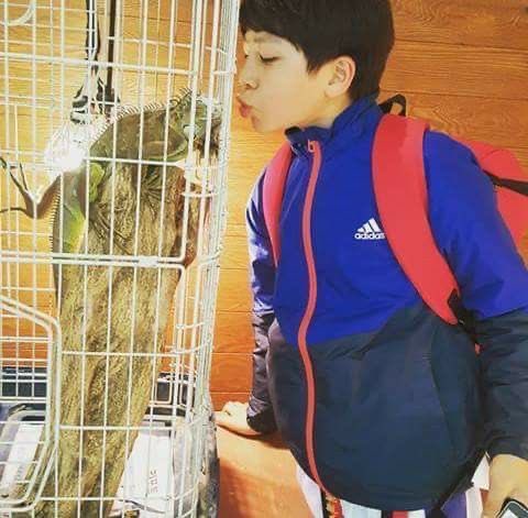 😗🦘                               😗🦎