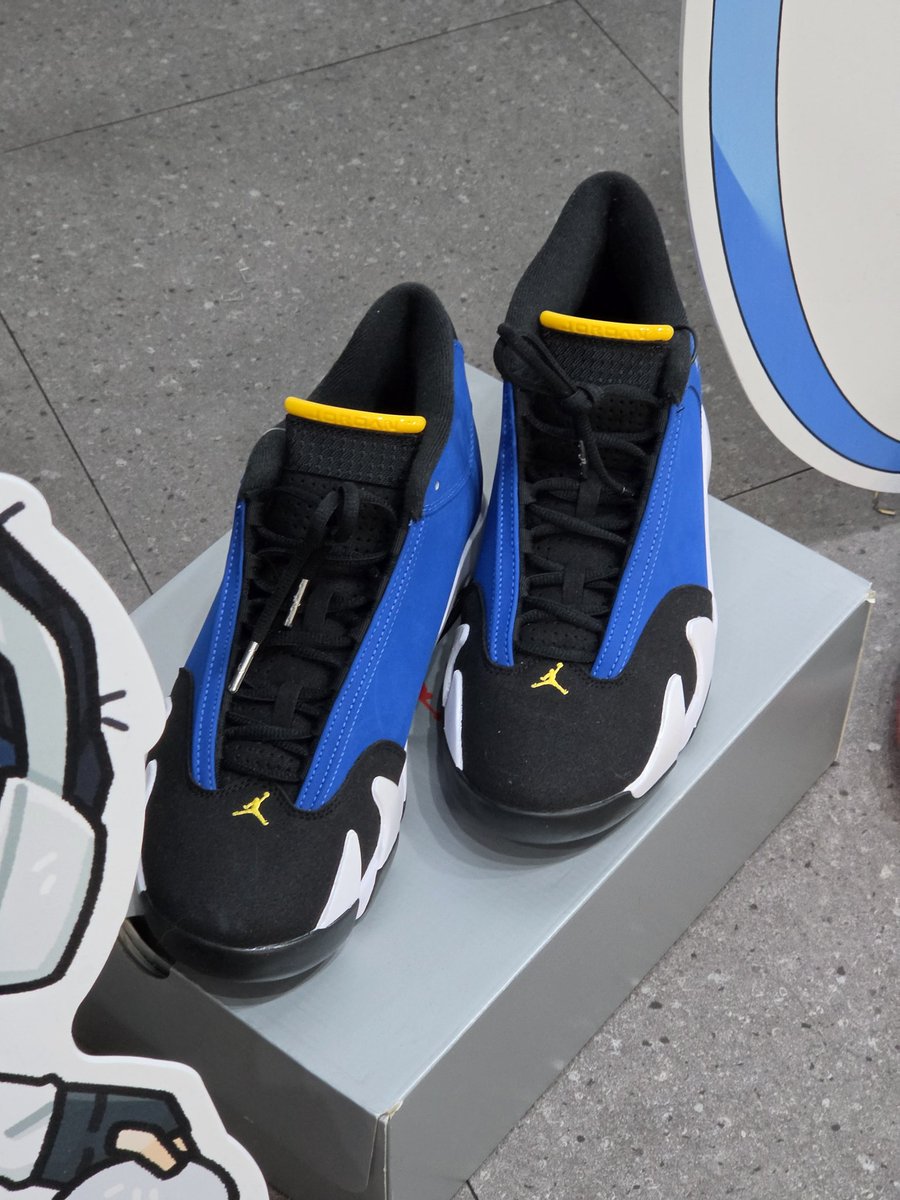 네스🏀 tweet media