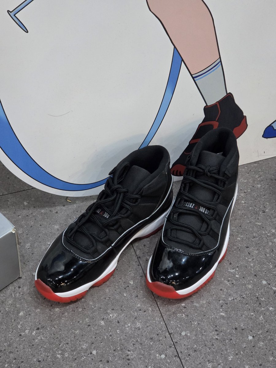 네스🏀 tweet media