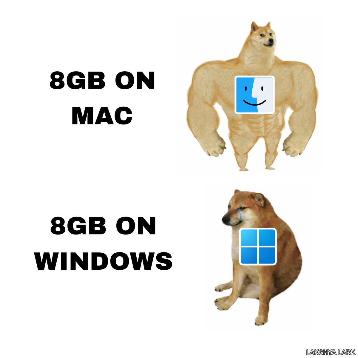 Lakshya Lark tweet media