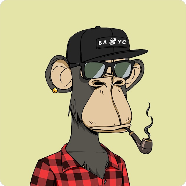 pacey 🦍 🍌 tweet media