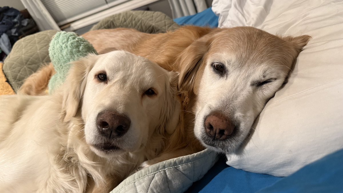 Mike Frezon tweet media