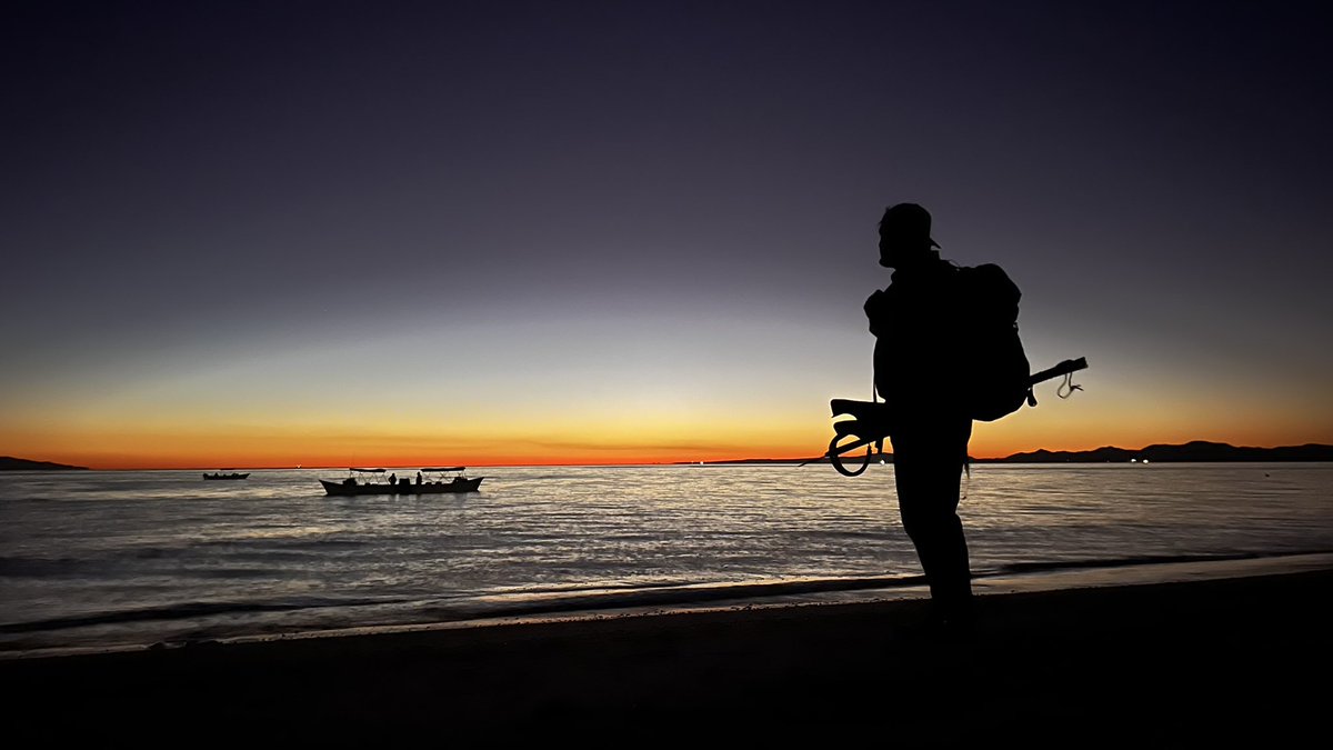 Gridlessness tweet media