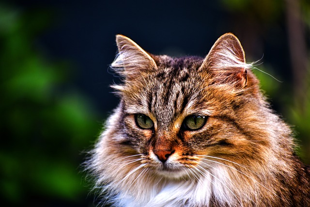 Kevin Bordeaux tweet media