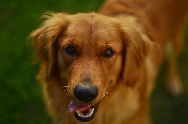 Jessica Hubbard tweet media