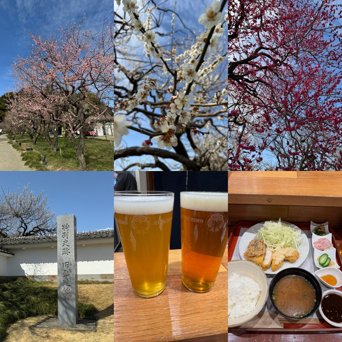 millilyn_ak's tweet photo. 水戸遠征　二日目最終日は
偕楽園で梅を満喫して、常磐神社でこれからの東京のさらなる勝利を願い、弘道館見学して、常陸野ネストビール🍺に常陸野ポークのとんかつ食べてお腹いっぱい🈵
ビールと梅酒と納豆をお土産に買ったので、再びときわ号に乗って帰ります！ https://t.co/Y3ElDO3AQt
