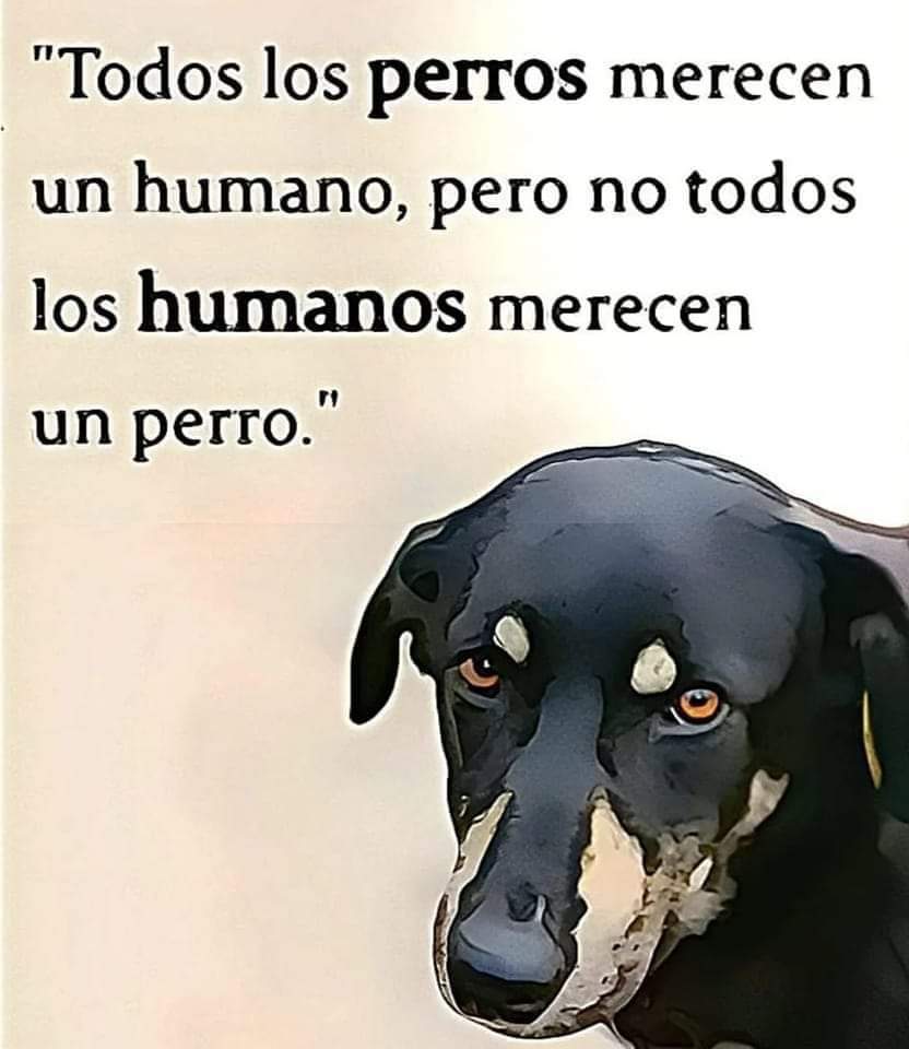 Manu Saenz💛💛 tweet media