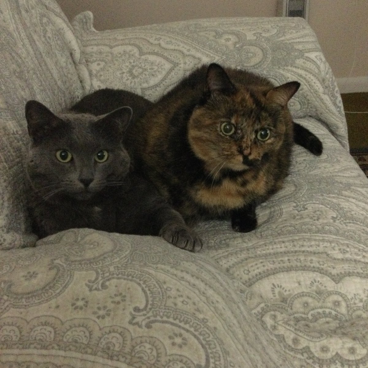 Aura Wellness Center tweet media