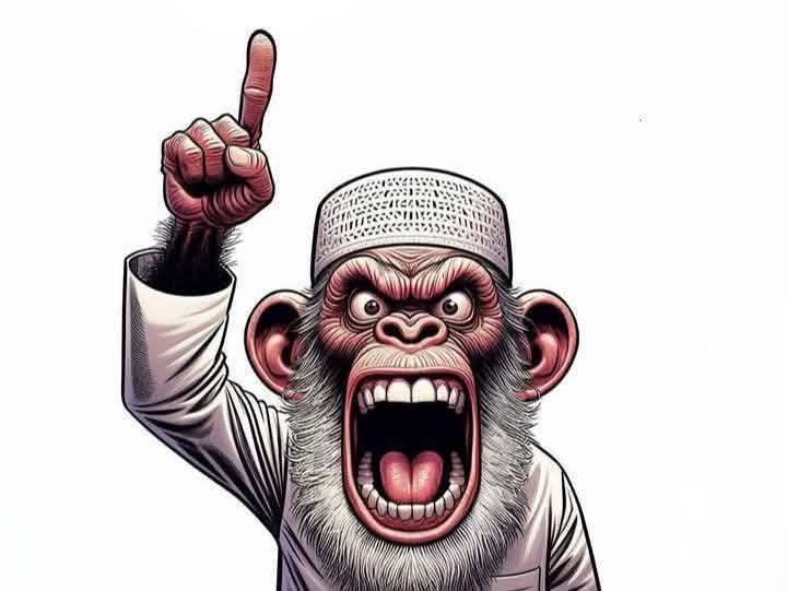 NOOR | نور tweet media